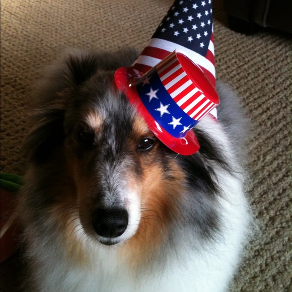 Meet your Posher, Marjorie - Picture 1 of 1